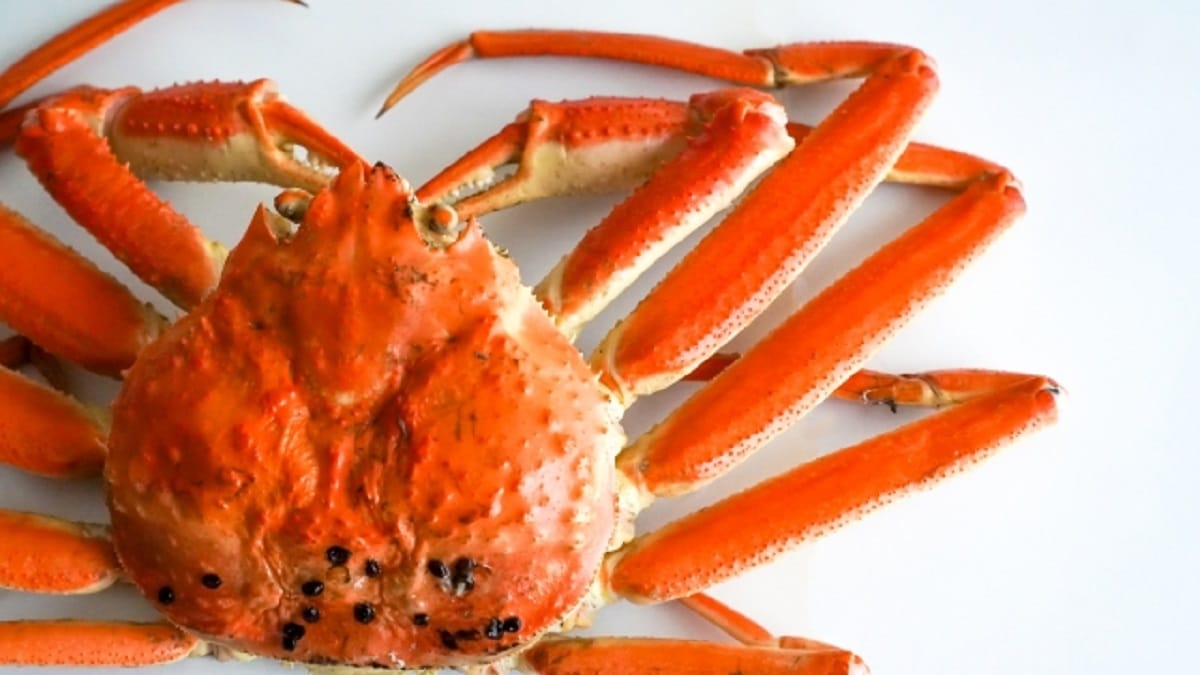 所さんお届けモノです 越前がにラーメン ブリしゃぶ カキ鍋 アンテナショップ 冬のご当地グルメ N0 Tv N0 Life