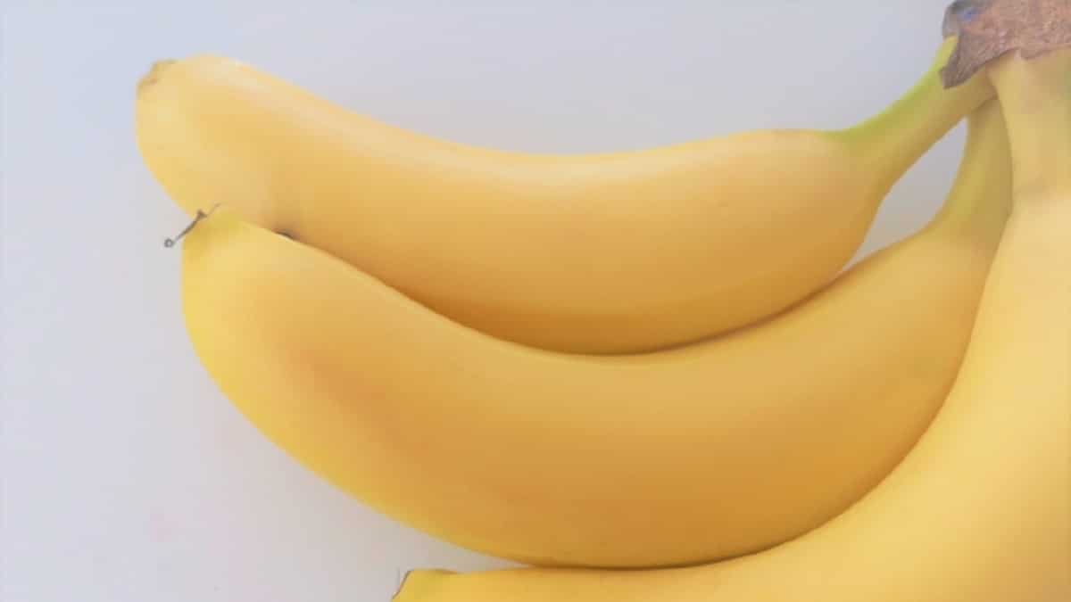 あさイチ 埼玉の国産バナナ お取り寄せ通販サイトは 神川バナナ カネザワ N0 Tv N0 Life