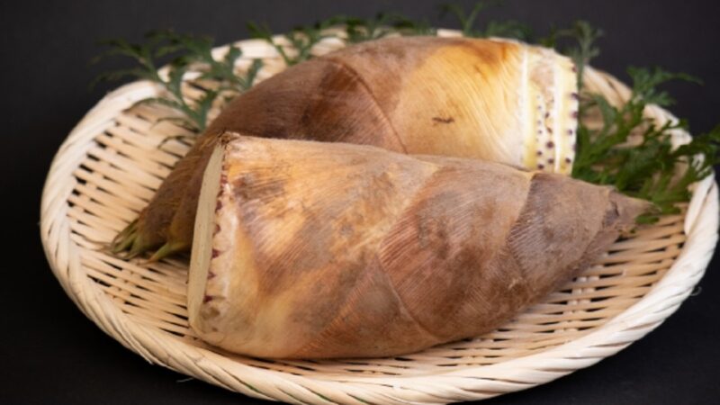 たけのこ・タケノコ