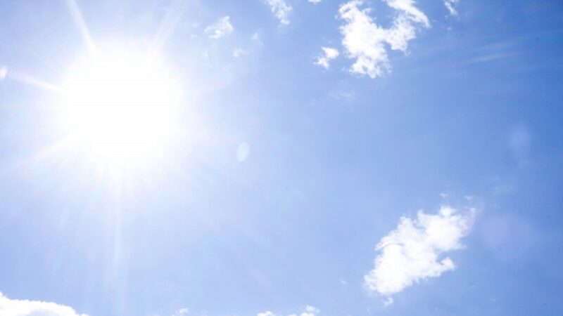 日差し・太陽